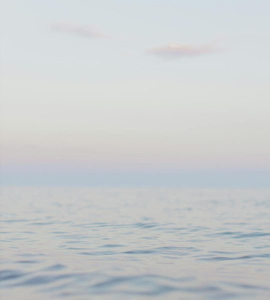 pexels-anastasia-shuraeva-4765114